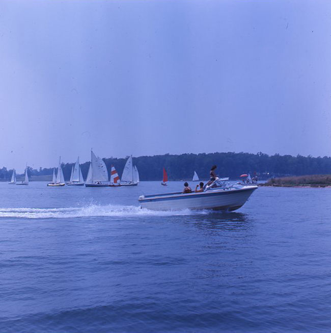 SML 50 years Gallery 12